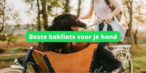 elektrische hondenbakfiets