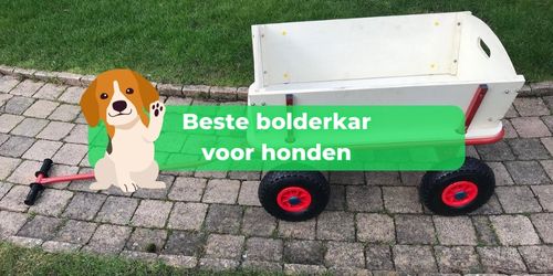 bolderkar hond
