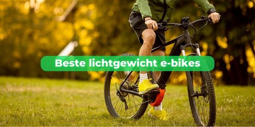 lichtgewicht e-bike