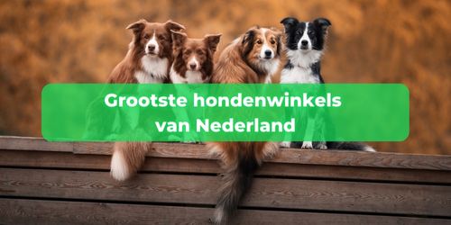 grootste hondenwinkel nederland