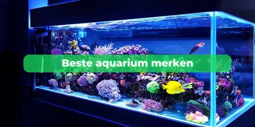 beste aquarium merken