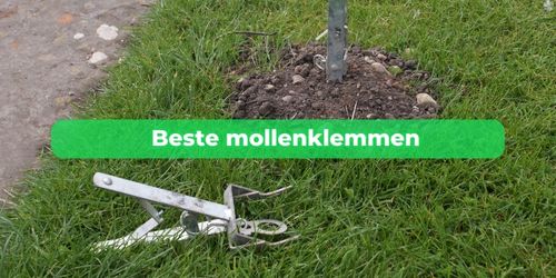 mollenklem kopen