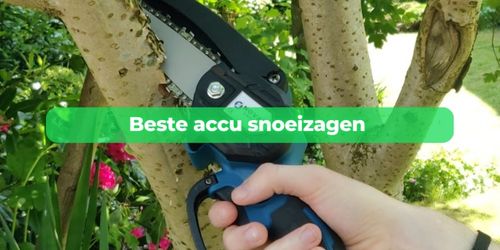 elektrische snoeizaag accu