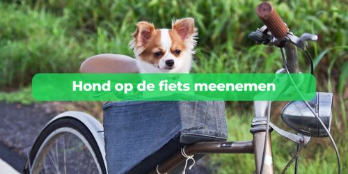 hond op de fiets meenemen