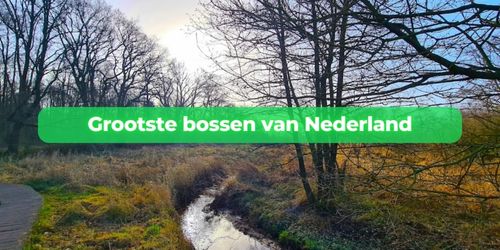 grootste bossen van nederland