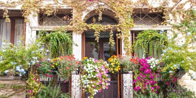 winterharde planten voor balkon